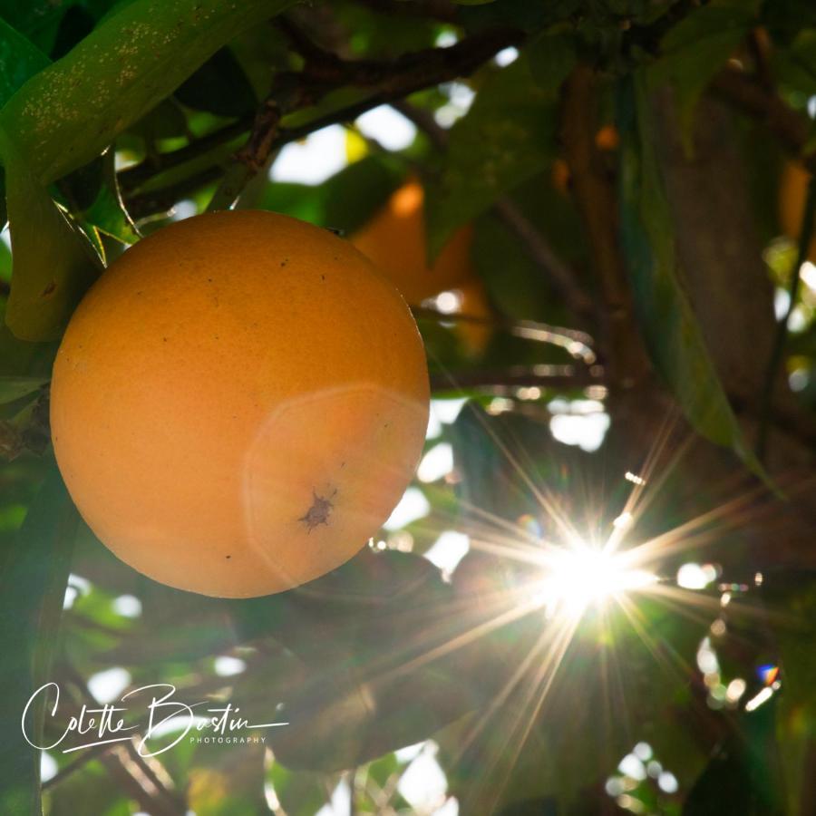 Finca Meerlust - Las Ballenas Лос Канос де Мека Екстериор снимка